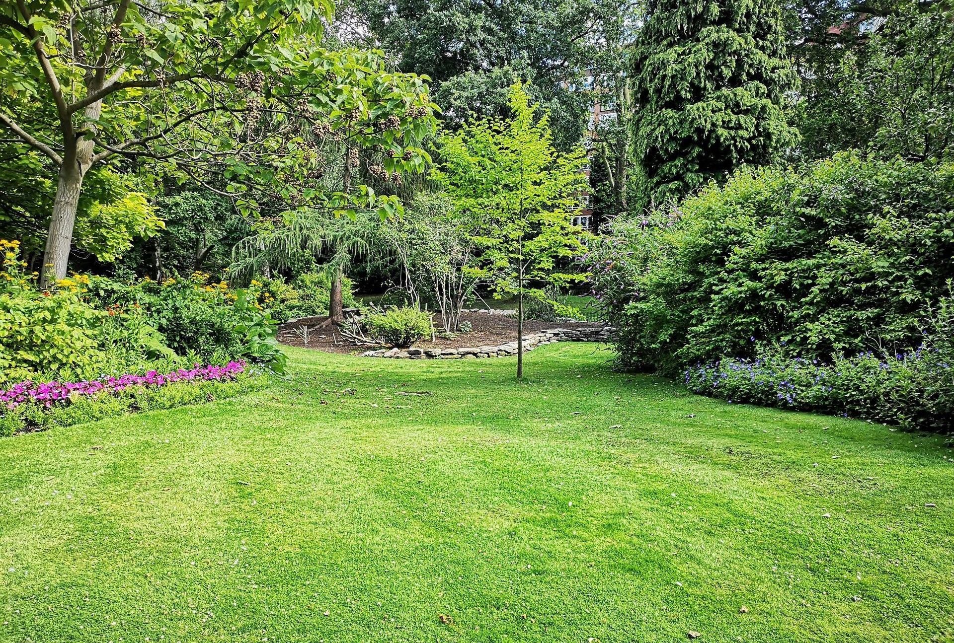 green grass field with trees