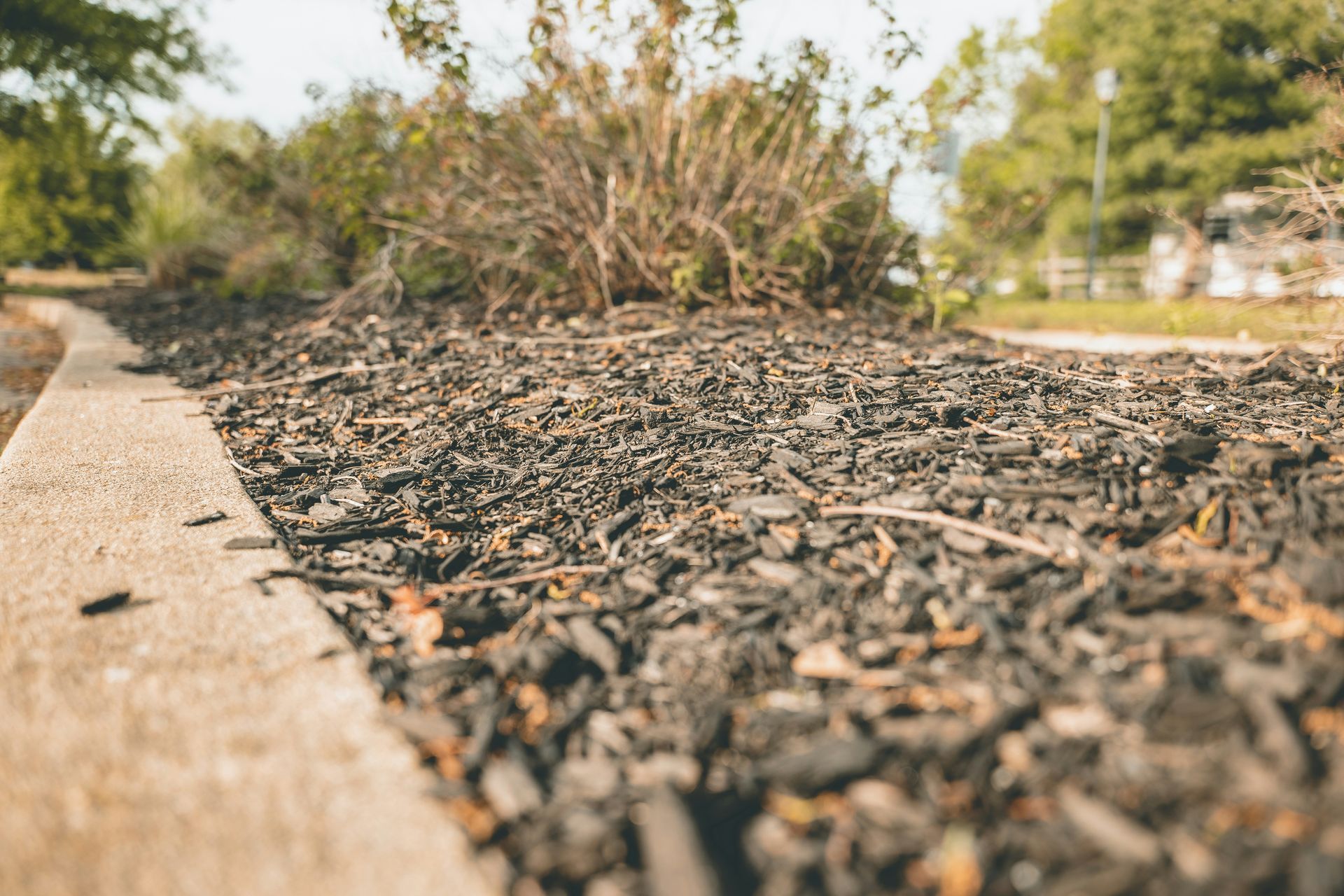 brown and black soil pathway